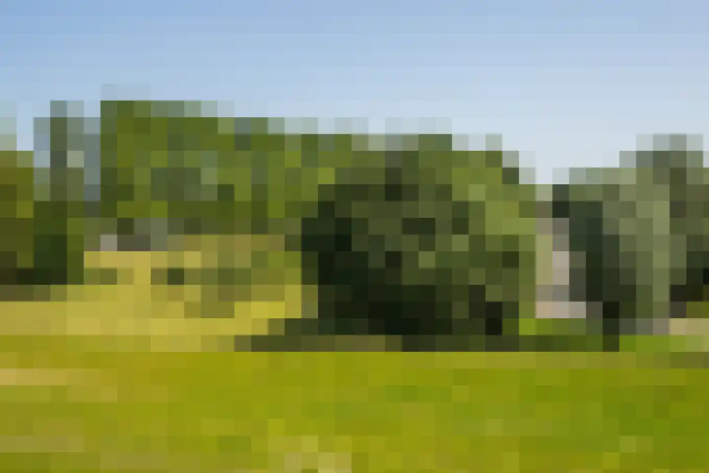 Blackwoodstraat 9 Opijnen thumbnail 52