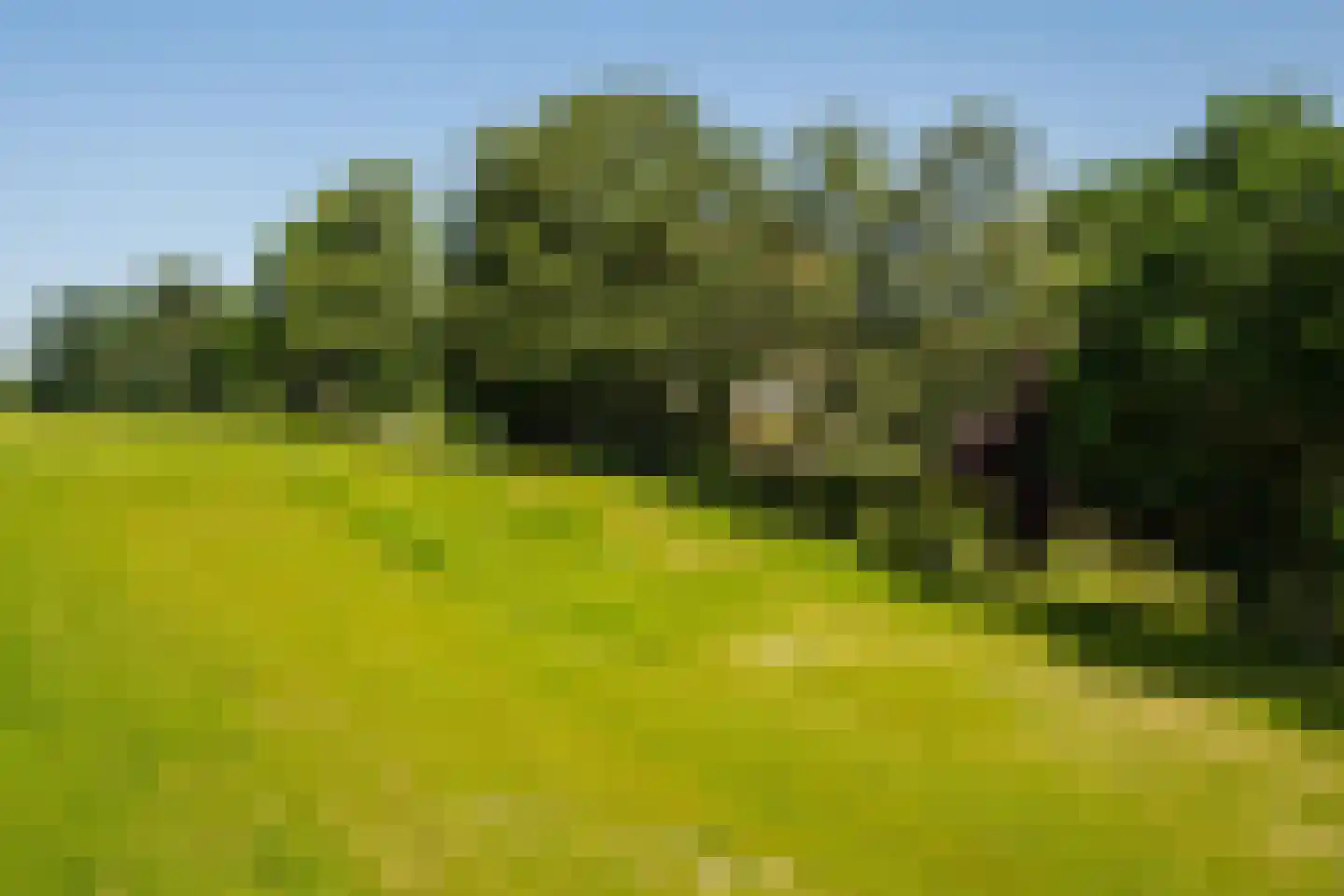 Blackwoodstraat 9 Opijnen thumbnail 53