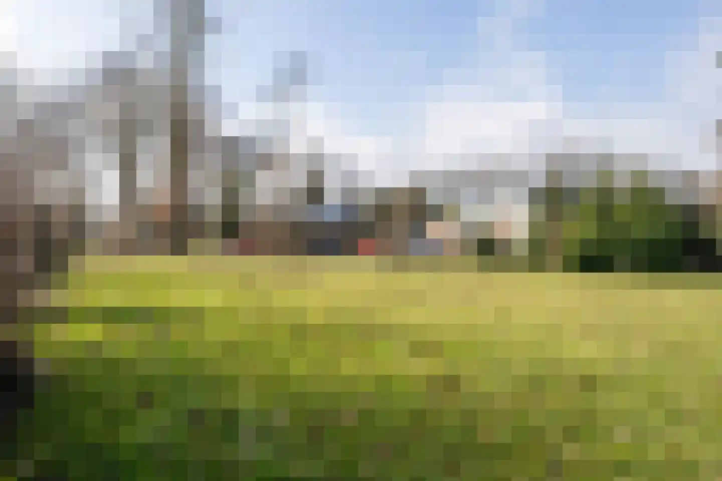Bladderswijk OZ 141 Nieuw-Dordrecht thumbnail 4