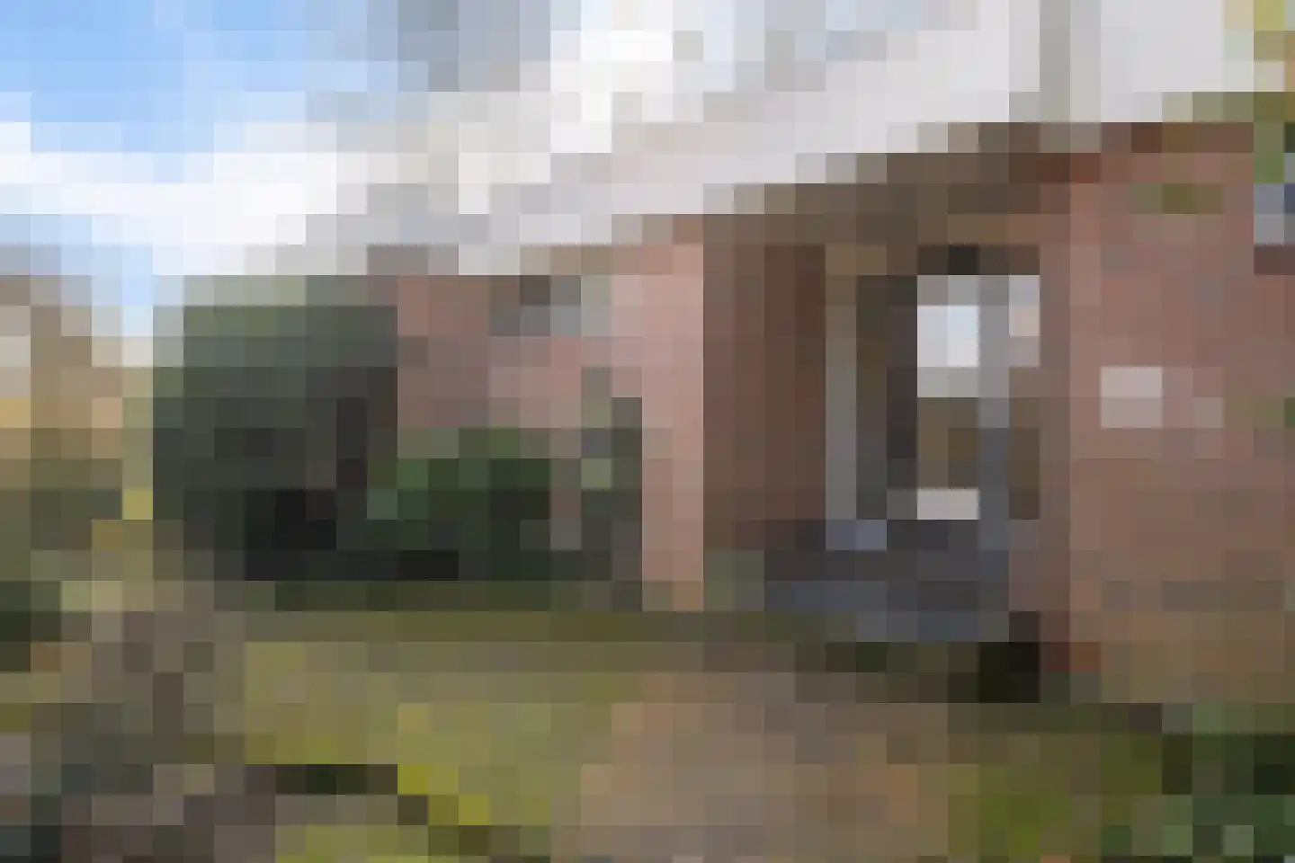 Bladderswijk OZ 141 Nieuw-Dordrecht thumbnail 5