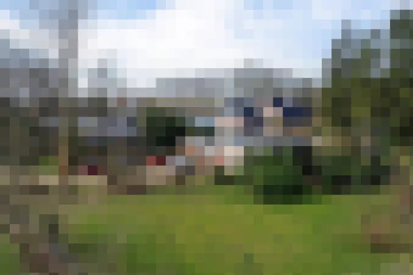 Bladderswijk OZ 141 Nieuw-Dordrecht thumbnail 56