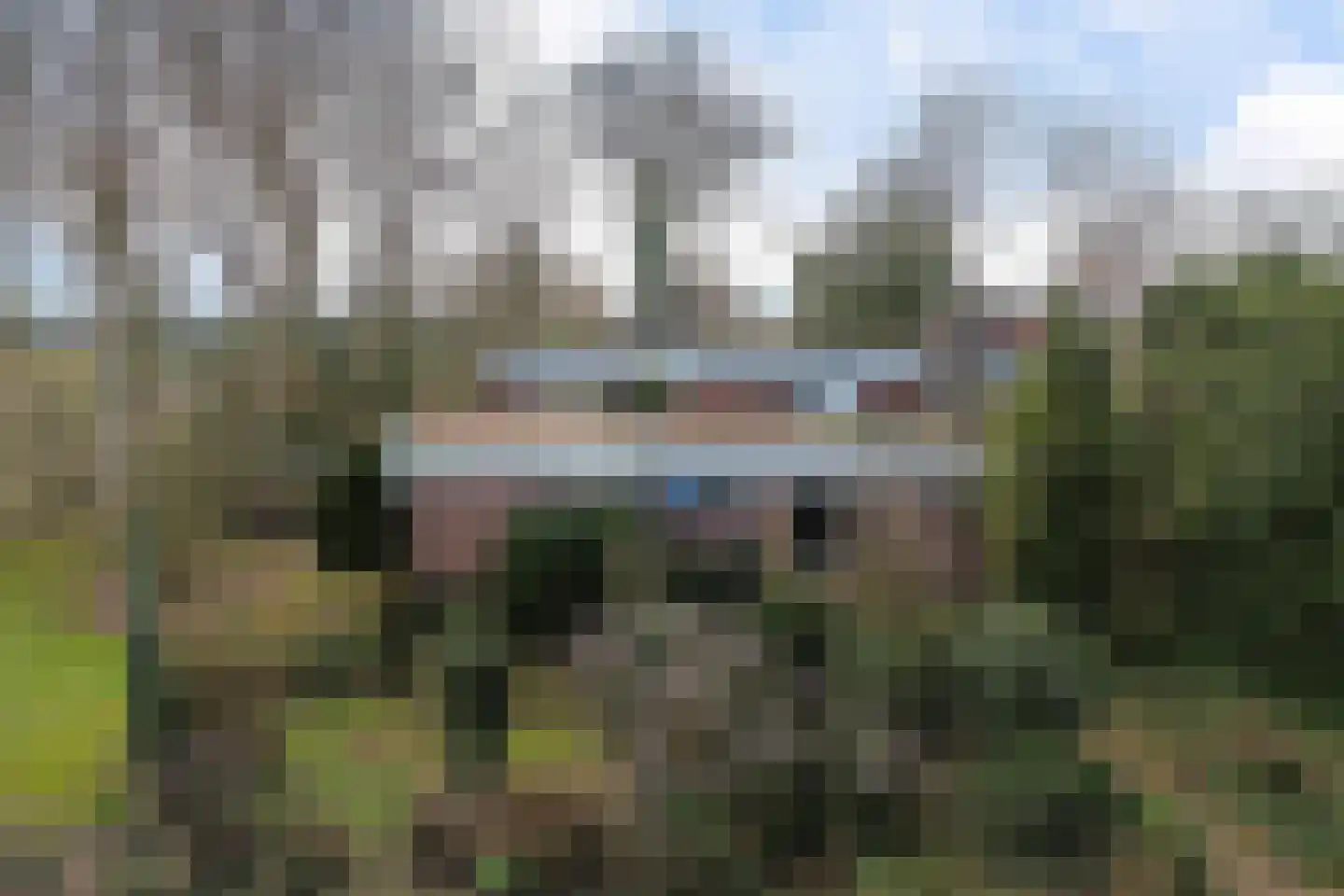 Bladderswijk OZ 141 Nieuw-Dordrecht thumbnail 57