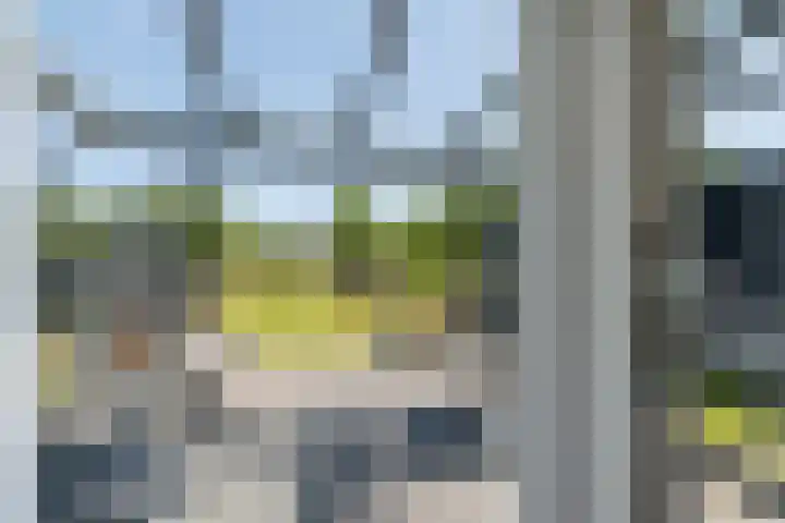 Bladderswijk OZ 92 Nieuw-Dordrecht thumbnail 16
