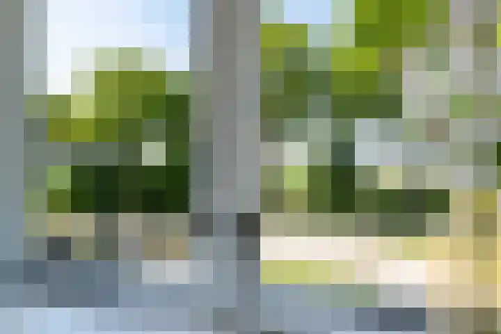 Bladderswijk OZ 92 Nieuw-Dordrecht thumbnail 25
