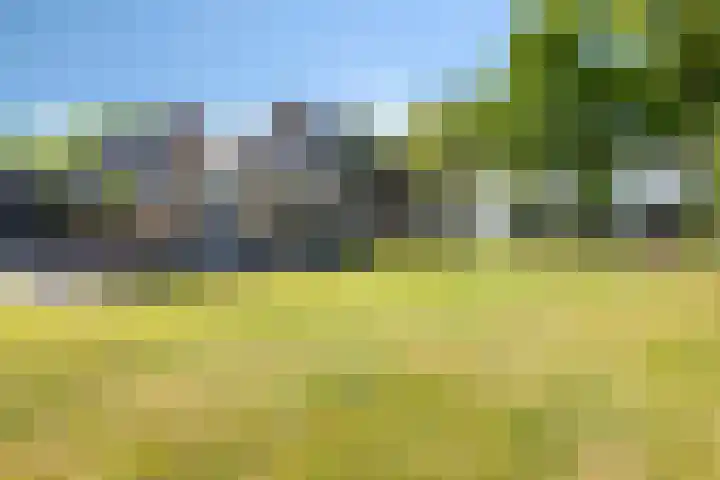 Bladderswijk OZ 92 Nieuw-Dordrecht thumbnail 33
