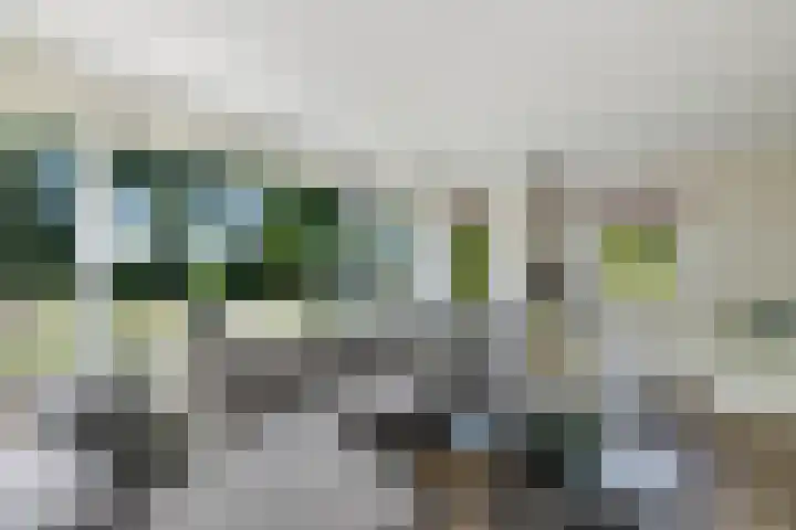 Bladderswijk OZ 92 Nieuw-Dordrecht thumbnail 5