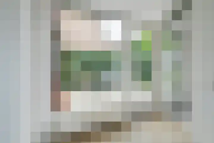 Bladerstraat 18 Ulvenhout thumbnail 16