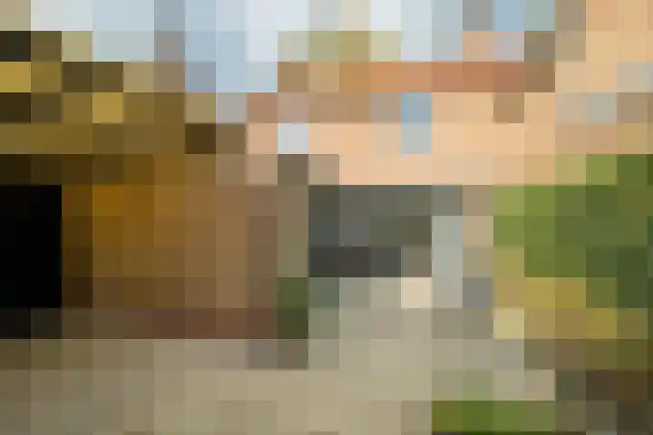 Bladerstraat 18 Ulvenhout thumbnail 27