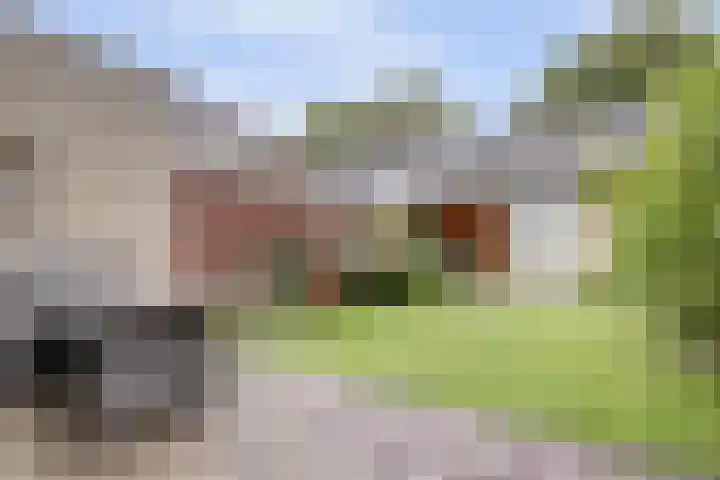 Bladgroen 31 Zoetermeer thumbnail 13