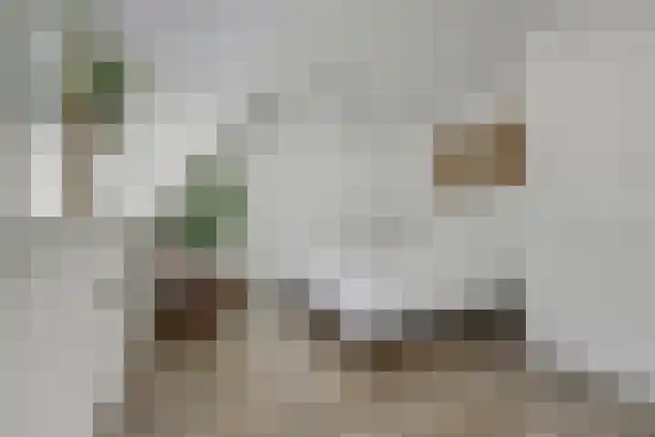 Bladgroen 31 Zoetermeer thumbnail 17