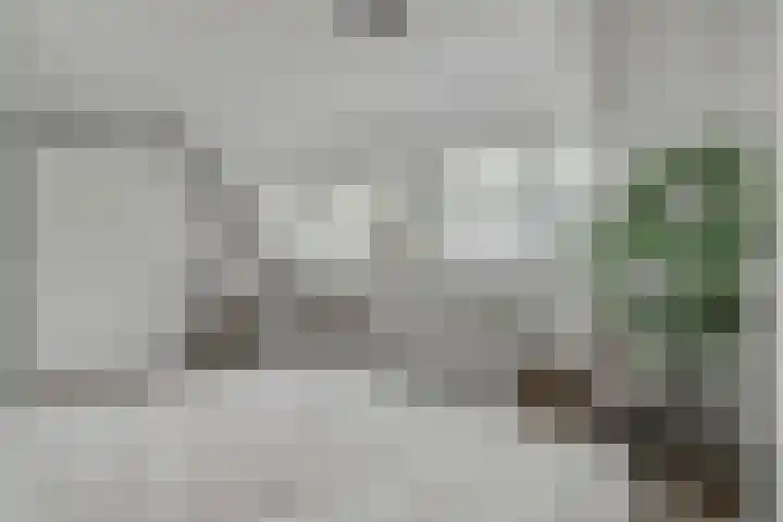 Bladgroen 31 Zoetermeer thumbnail 18