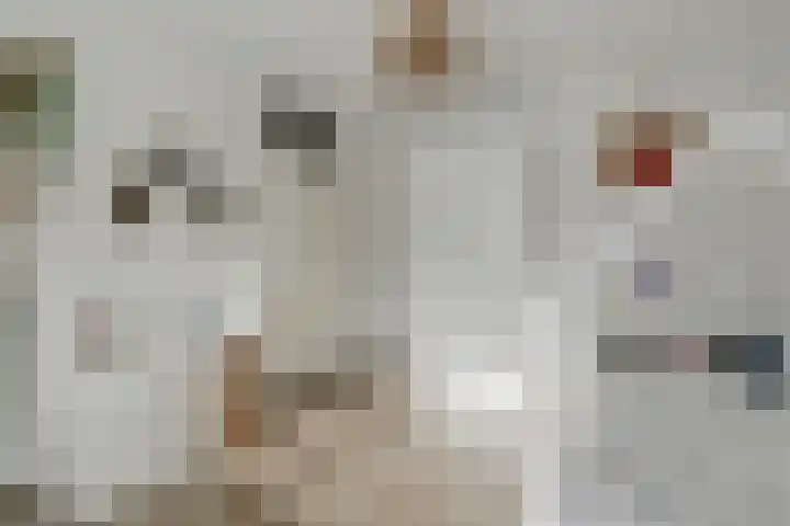 Bladgroen 31 Zoetermeer thumbnail 21
