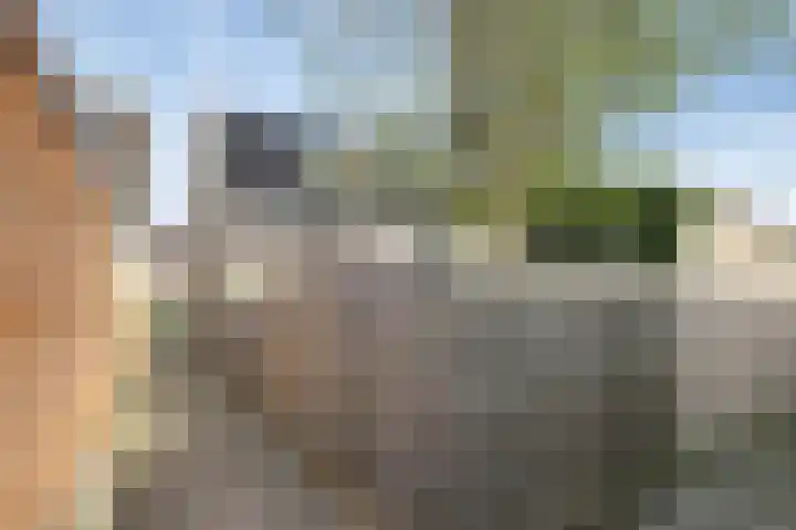 Bladgroen 44 Zoetermeer thumbnail 12