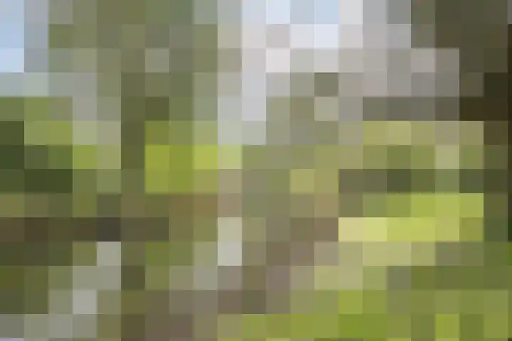 Bladgroen 44 Zoetermeer thumbnail 34