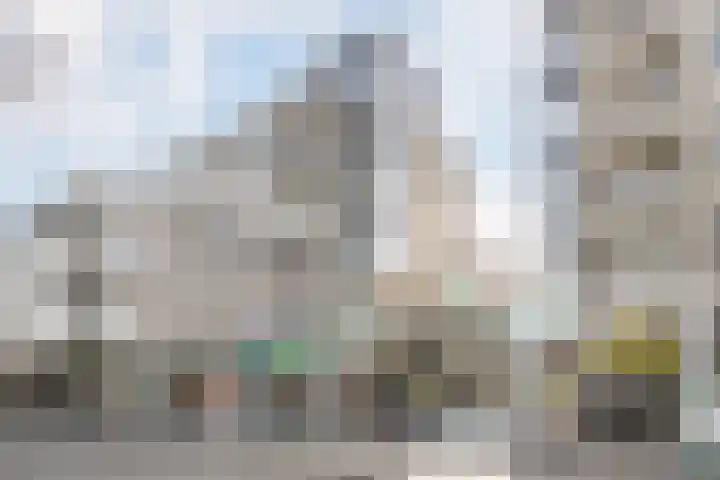 Bladgroen 44 Zoetermeer thumbnail 35