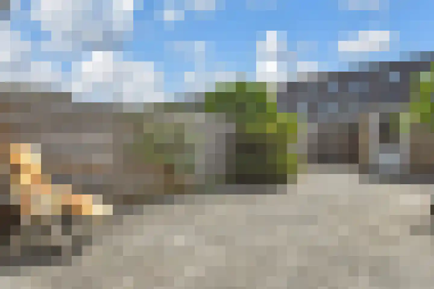 Bladgroen 50 Zoetermeer thumbnail 15