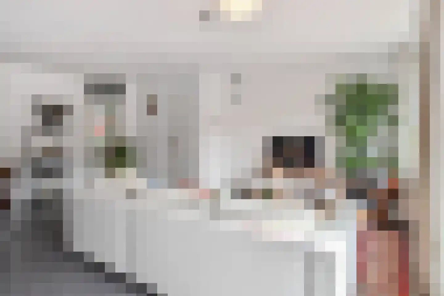 Bladgroen 50 Zoetermeer thumbnail 17