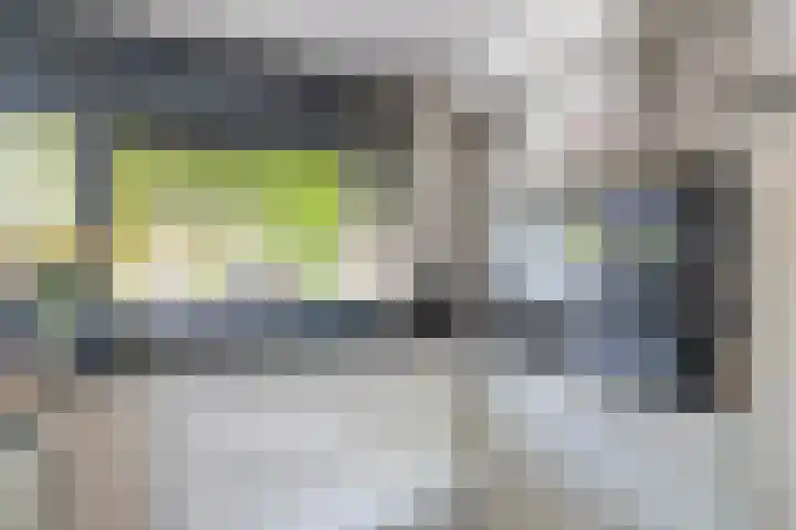 Bladhaantje 25 Krommenie thumbnail 11