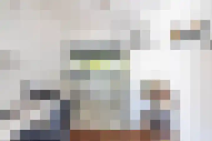 Bladhaantje 25 Krommenie thumbnail 13