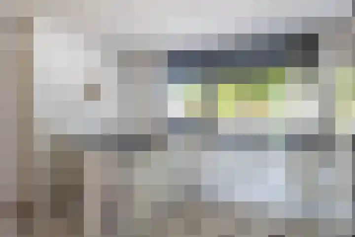 Bladhaantje 25 Krommenie thumbnail 14