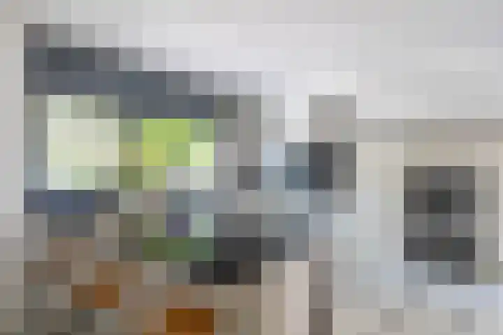 Bladhaantje 25 Krommenie thumbnail 15