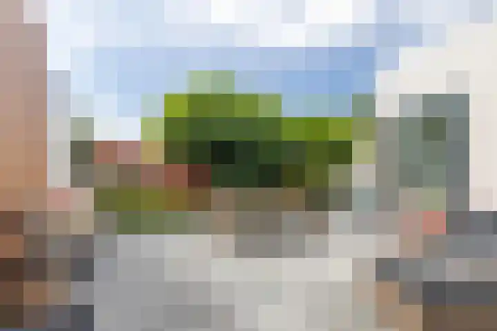 Bladhaantje 25 Krommenie thumbnail 16