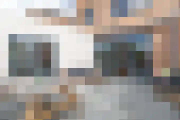 Bladhaantje 25 Krommenie thumbnail 18