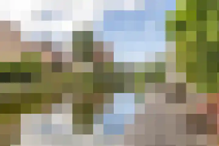 Bladhaantje 25 Krommenie thumbnail 19