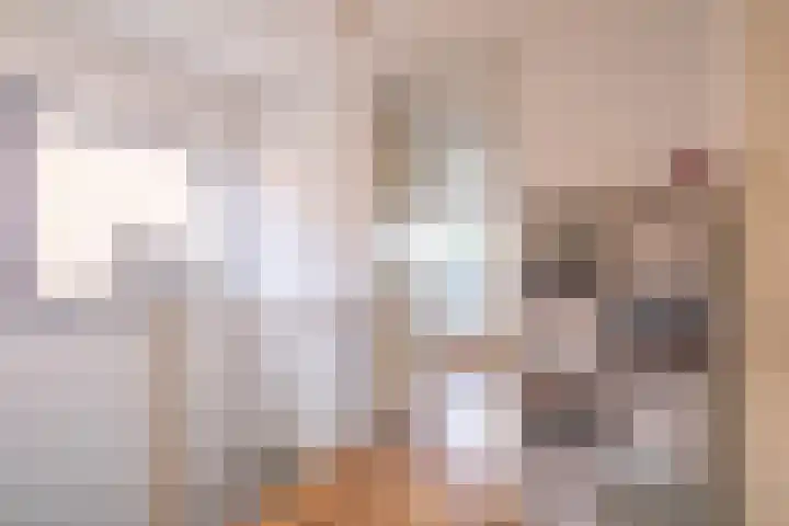 Bladhaantje 25 Krommenie thumbnail 21