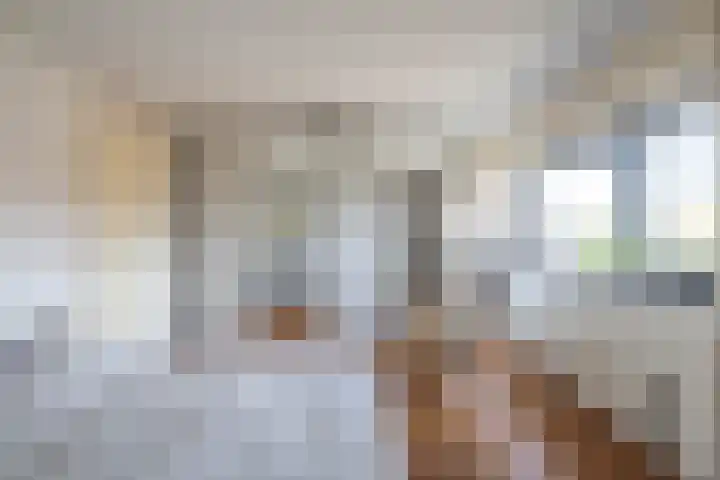 Bladhaantje 25 Krommenie thumbnail 22