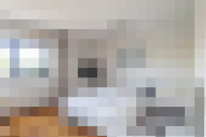 Bladhaantje 25 Krommenie thumbnail 23