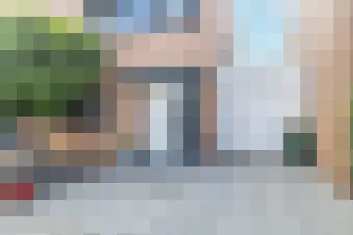 Bladhaantje 25 Krommenie thumbnail 28