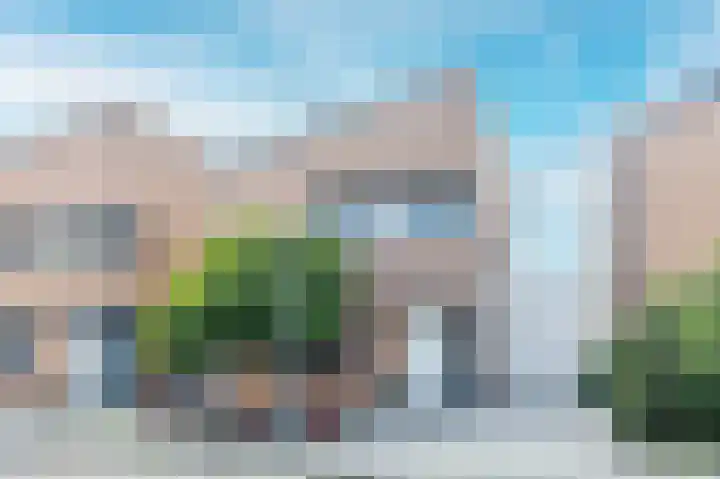 Bladhaantje 25 Krommenie foto 3