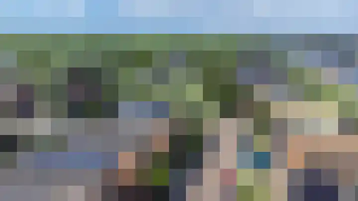 Bladhaantje 25 Krommenie thumbnail 32