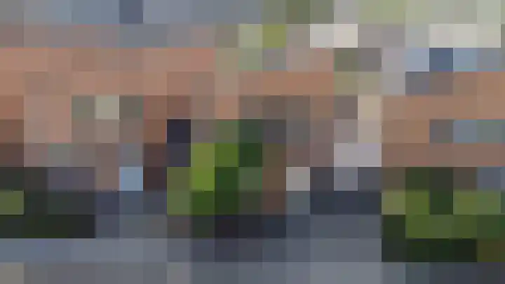 Bladhaantje 25 Krommenie thumbnail 33