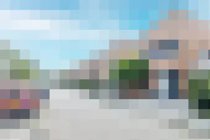 Bladhaantje 25 Krommenie thumbnail 34