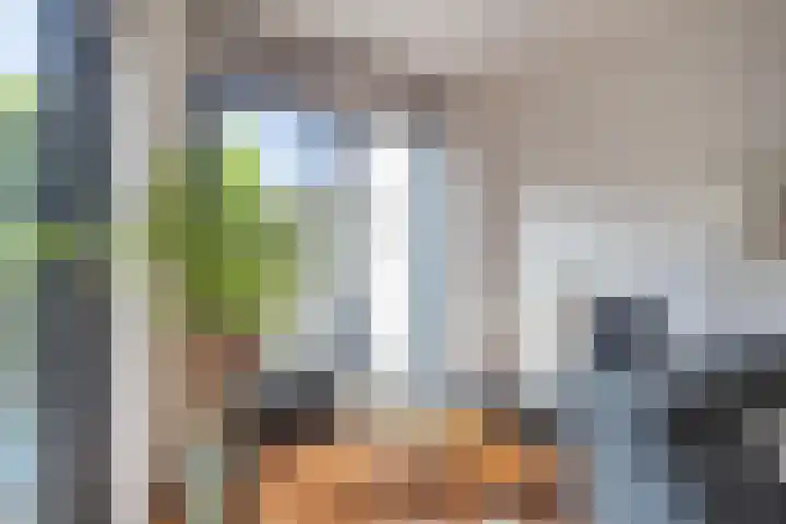 Bladhaantje 25 Krommenie thumbnail 6