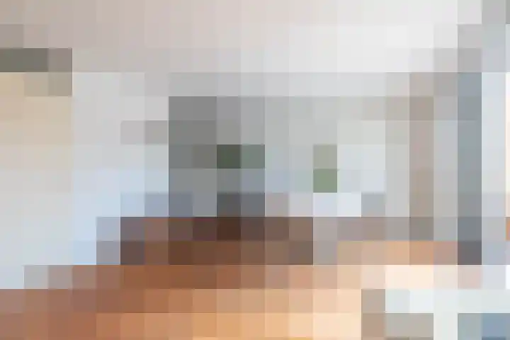 Bladhaantje 25 Krommenie thumbnail 9