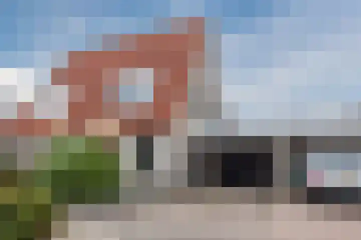 Bladkoninkje 11 Boxmeer