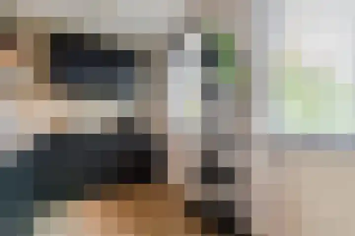 Bladkoninkje 11 Boxmeer thumbnail 10