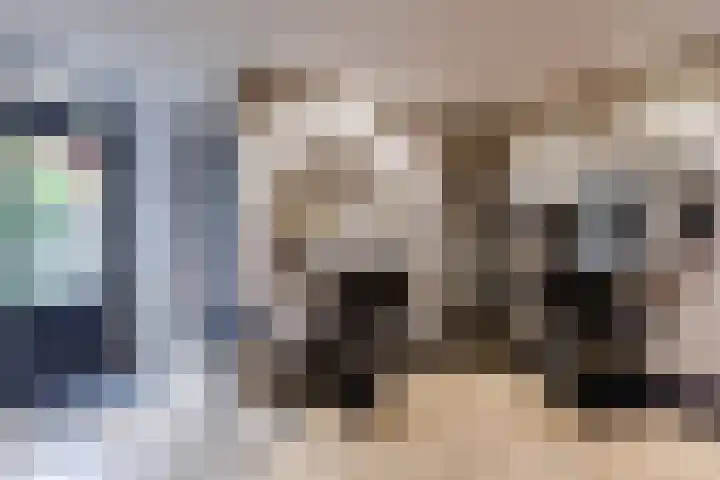 Bladkoninkje 11 Boxmeer thumbnail 11