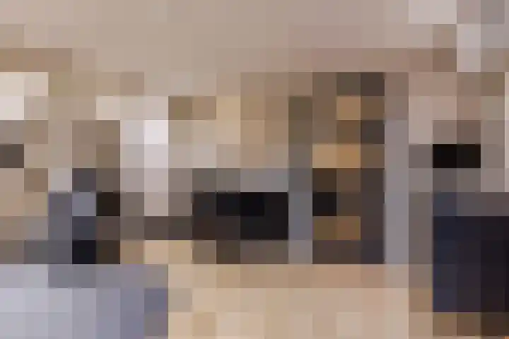 Bladkoninkje 11 Boxmeer thumbnail 12