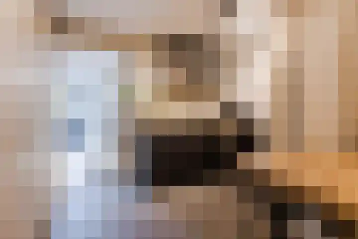 Bladkoninkje 11 Boxmeer thumbnail 13