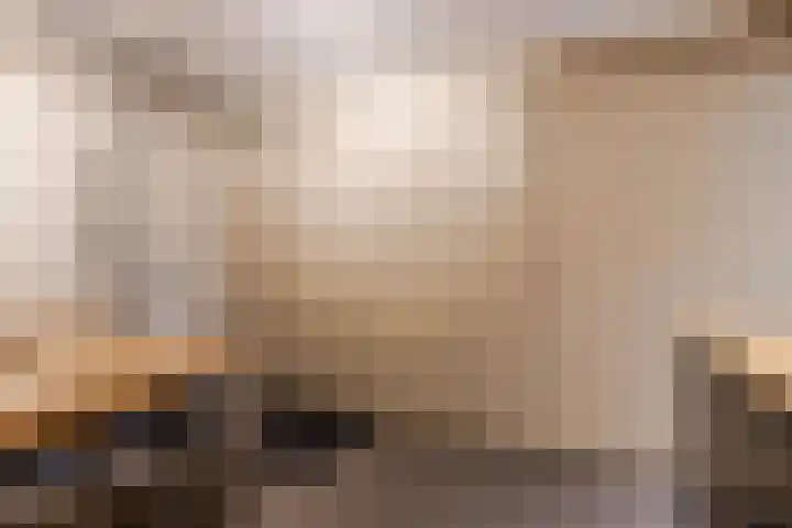 Bladkoninkje 11 Boxmeer thumbnail 14