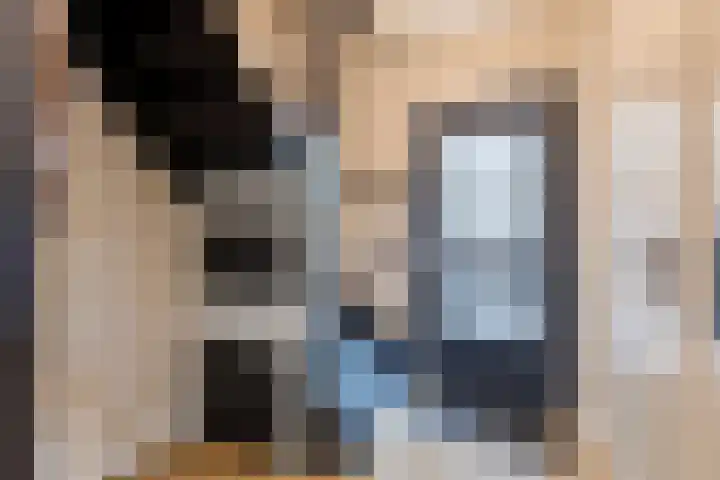 Bladkoninkje 11 Boxmeer thumbnail 15