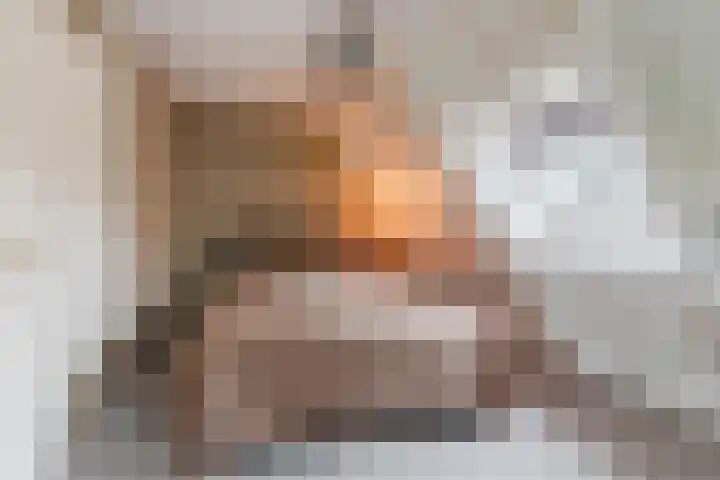Bladkoninkje 11 Boxmeer thumbnail 16