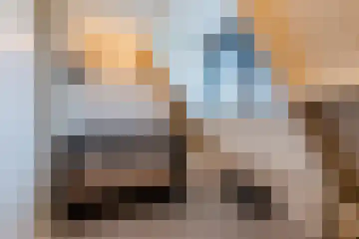 Bladkoninkje 11 Boxmeer thumbnail 18