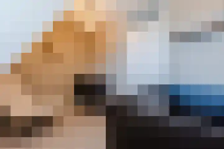 Bladkoninkje 11 Boxmeer thumbnail 19