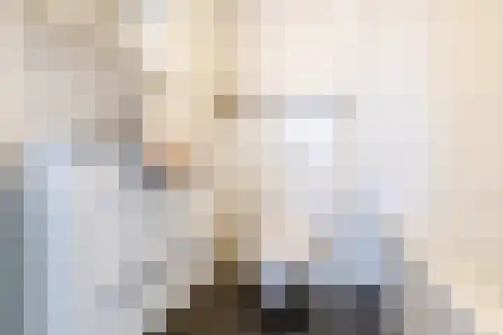 Bladkoninkje 11 Boxmeer thumbnail 20