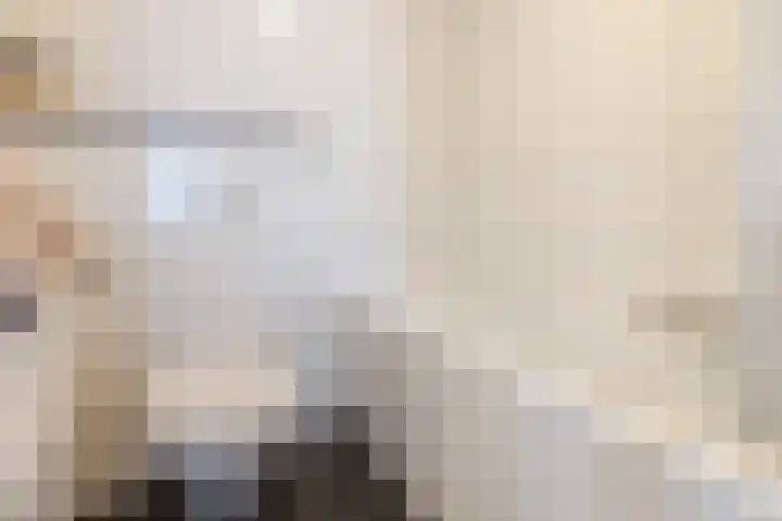 Bladkoninkje 11 Boxmeer thumbnail 21